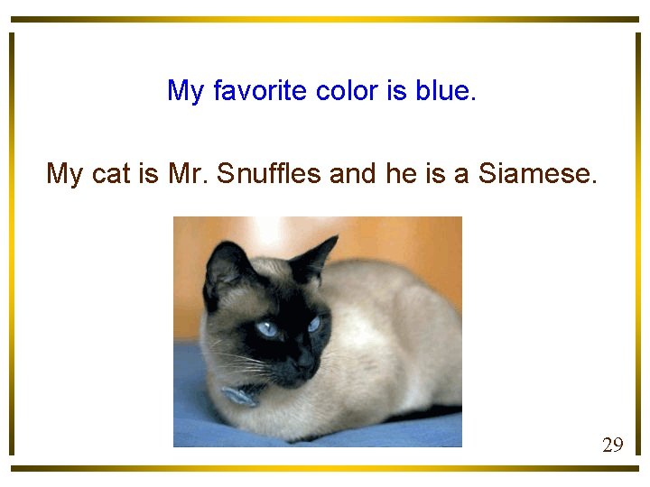 My favorite color is blue. My cat is Mr. Snuffles and he is a
