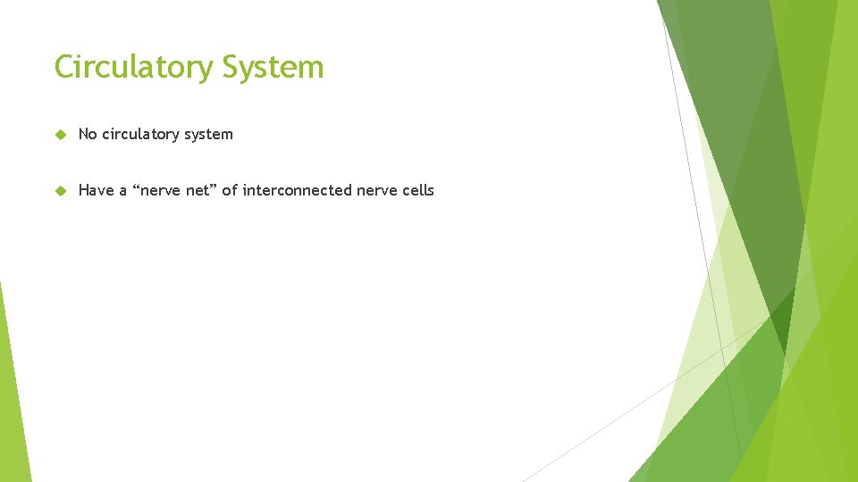 Circulatory System No circulatory system Have a “nerve net” of interconnected nerve cells 