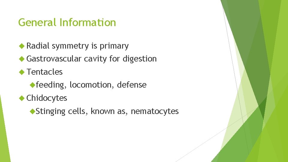 General Information Radial symmetry is primary Gastrovascular cavity for digestion Tentacles feeding, locomotion, defense