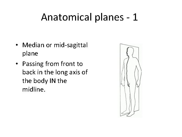 Anatomical planes - 1 • Median or mid-sagittal plane • Passing from front to