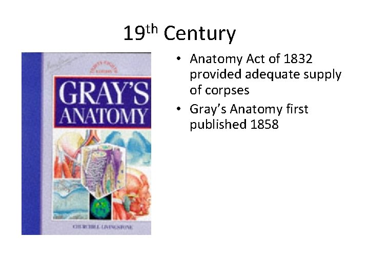 19 th Century • Anatomy Act of 1832 provided adequate supply of corpses •
