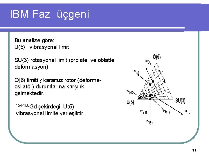 IBM Faz üçgeni Bu analize göre; U(5) vibrasyonel limit SU(3) rotasyonel limit (prolate ve