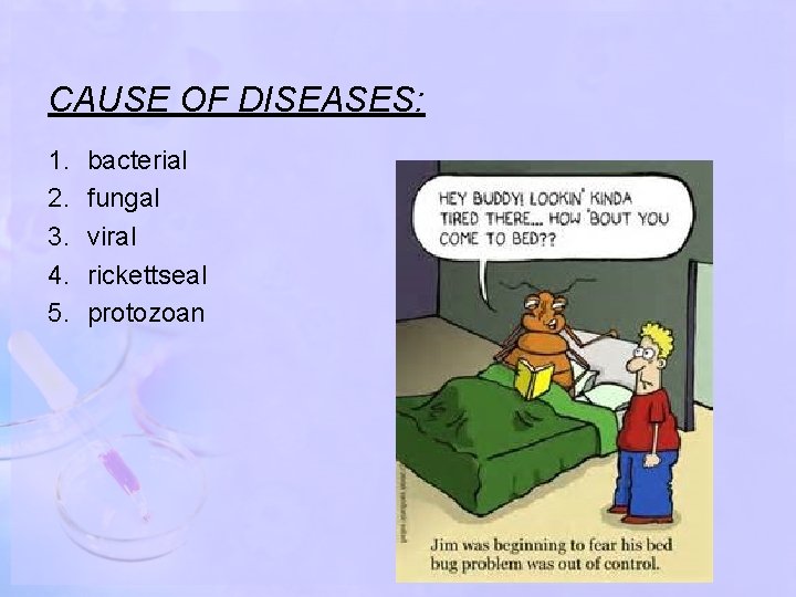 CAUSE OF DISEASES: 1. 2. 3. 4. 5. bacterial fungal viral rickettseal protozoan 