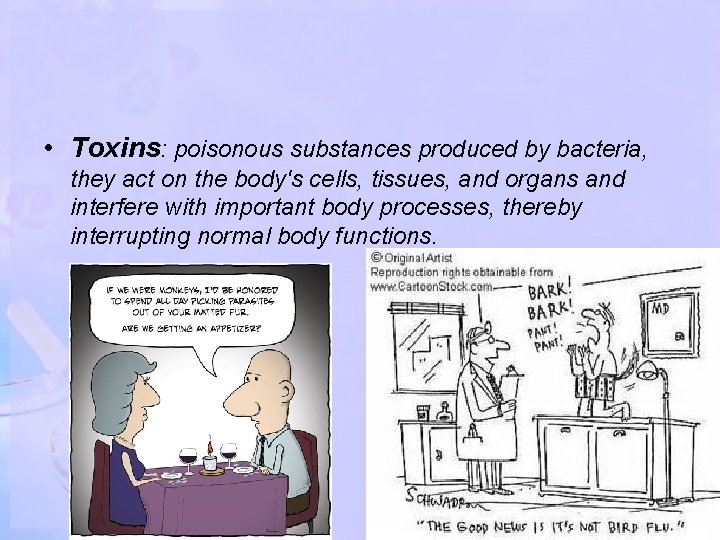  • Toxins: poisonous substances produced by bacteria, they act on the body's cells,