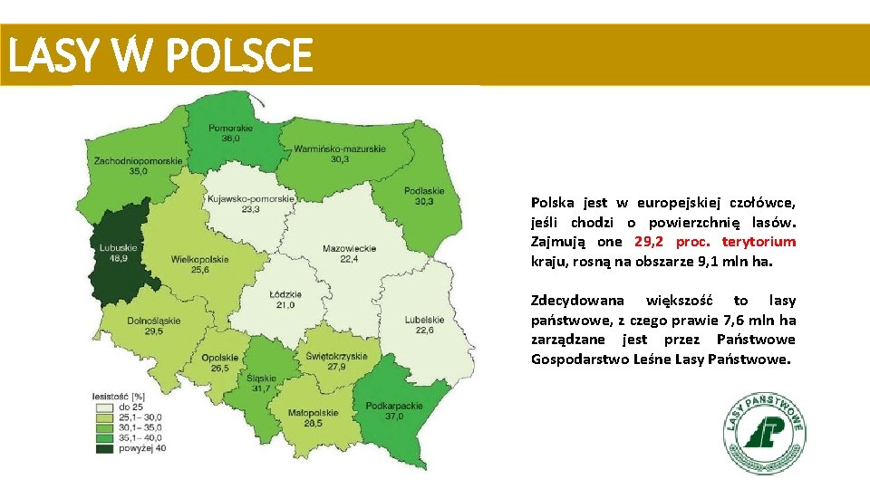 LASY W POLSCE Polska jest w europejskiej czołówce, jeśli chodzi o powierzchnię lasów. Zajmują