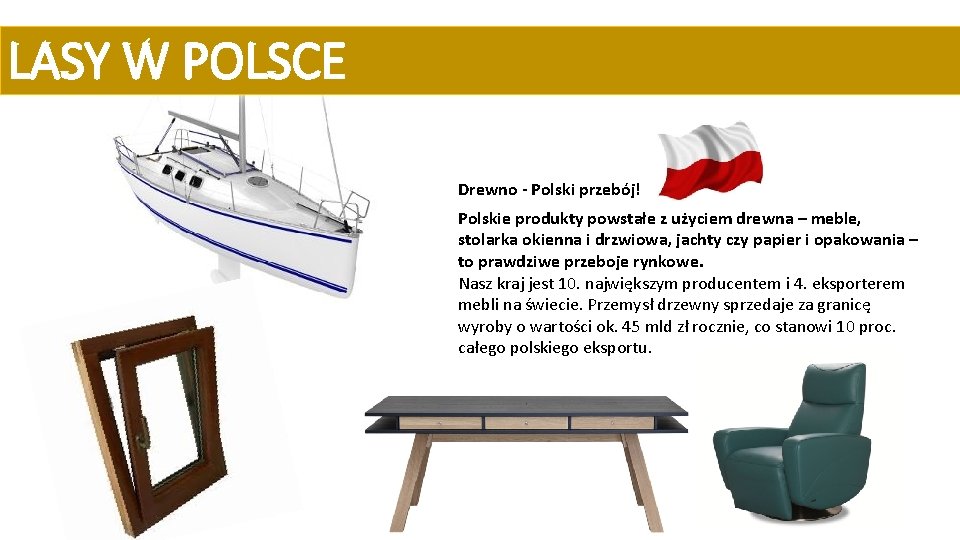 LASY W POLSCE Drewno - Polski przebój! Polskie produkty powstałe z użyciem drewna –