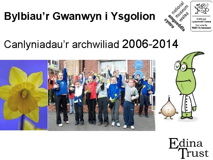 Bylbiau’r Gwanwyn i Ysgolion Canlyniadau’r archwiliad 2006 -2014 