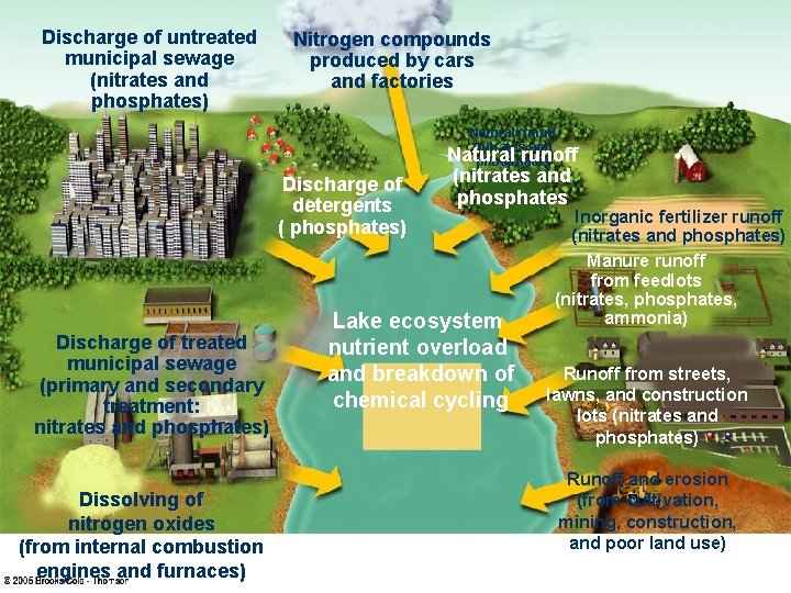 Discharge of untreated municipal sewage (nitrates and phosphates) Nitrogen compounds produced by cars and