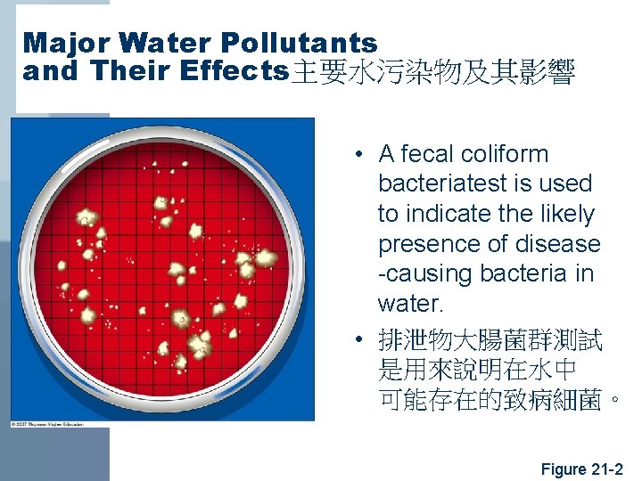 Major Water Pollutants and Their Effects主要水污染物及其影響 • A fecal coliform bacteriatest is used to