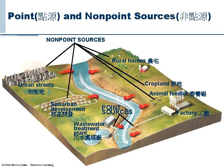 Point(點源) and Nonpoint Sources(非點源) NONPOINT SOURCES Rural homes 農宅 Cropland 耕地 Urban streets 市街地