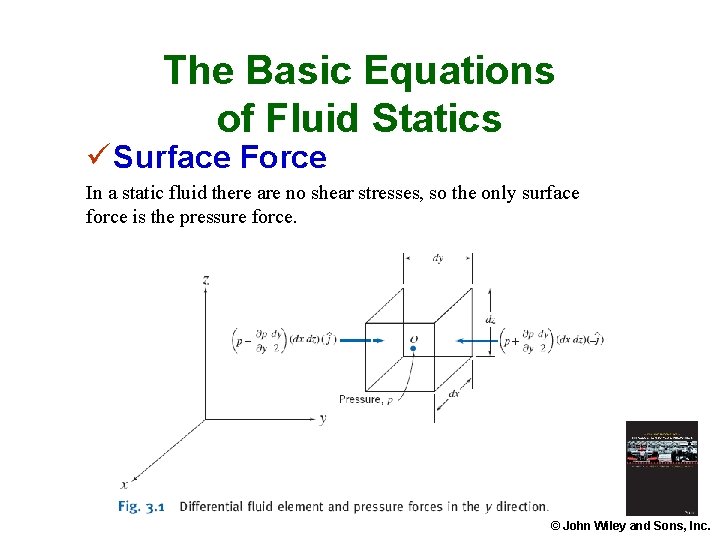 The Basic Equations of Fluid Statics ü Surface Force In a static fluid there