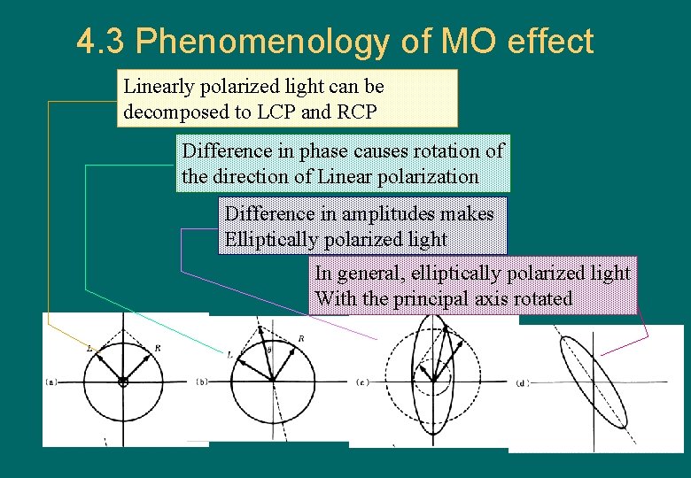 4. 3 Phenomenology of MO effect Linearly polarized light can be decomposed to LCP