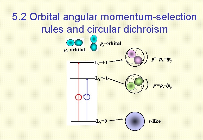 5. 2 Orbital angular momentum-selection rules and circular dichroism px-orbital py-orbital Lz=+1 p+=px+ipy Lz=-1