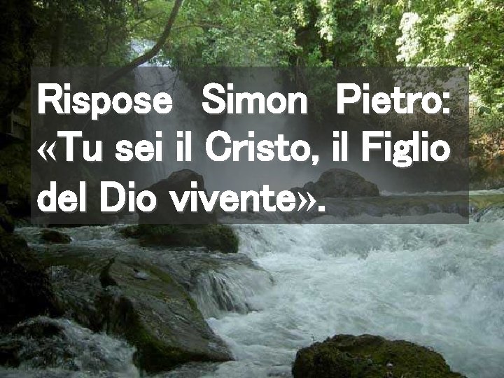 Rispose Simon Pietro: «Tu sei il Cristo, il Figlio del Dio vivente» . 