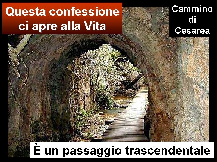 Questa confessione ci apre alla Vita Cammino di Cesarea È un passaggio trascendentale 