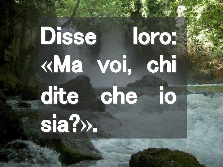 Disse loro: «Ma voi, chi dite che io sia? » . 