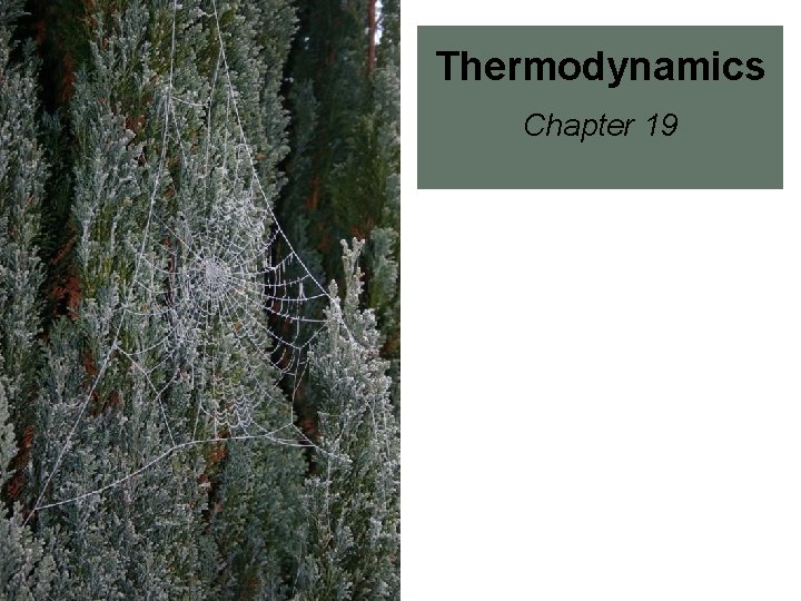 Thermodynamics Chapter 19 