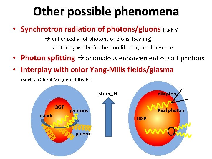 Other possible phenomena • Synchrotron radiation of photons/gluons [Tuchin] enhanced v 2 of photons