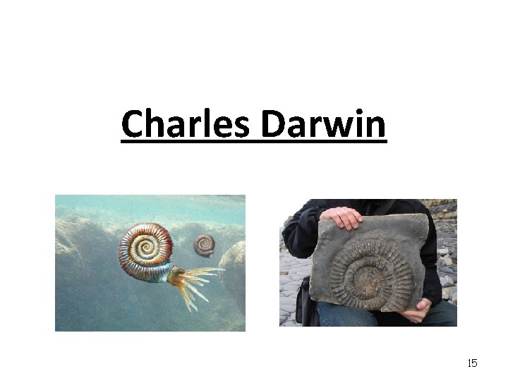 Charles Darwin 15 
