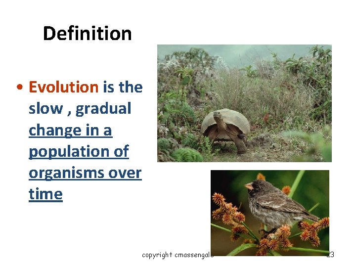 Definition • Evolution is the slow , gradual change in a population of organisms