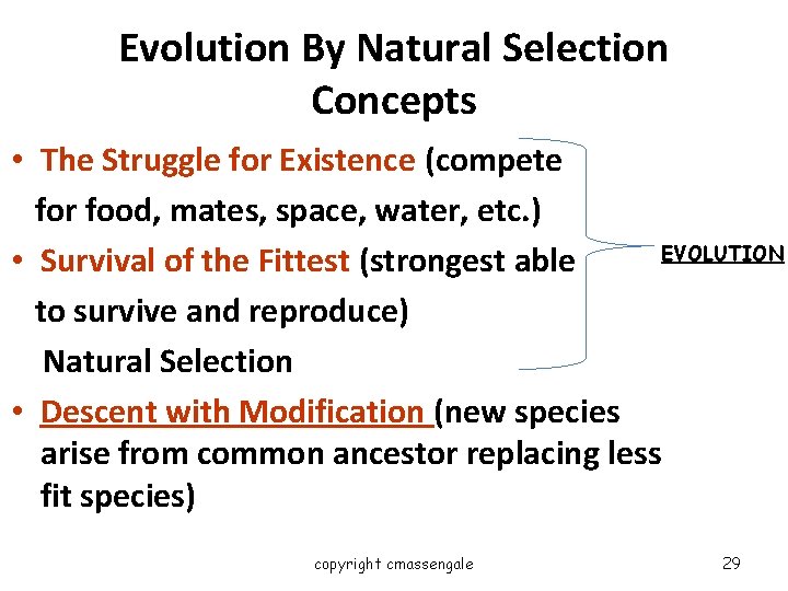 Evolution By Natural Selection Concepts • The Struggle for Existence (compete for food, mates,