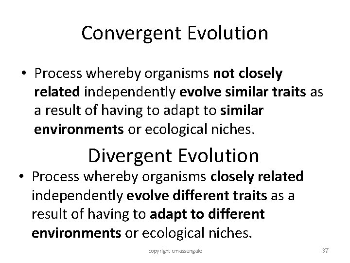 Convergent Evolution • Process whereby organisms not closely related independently evolve similar traits as