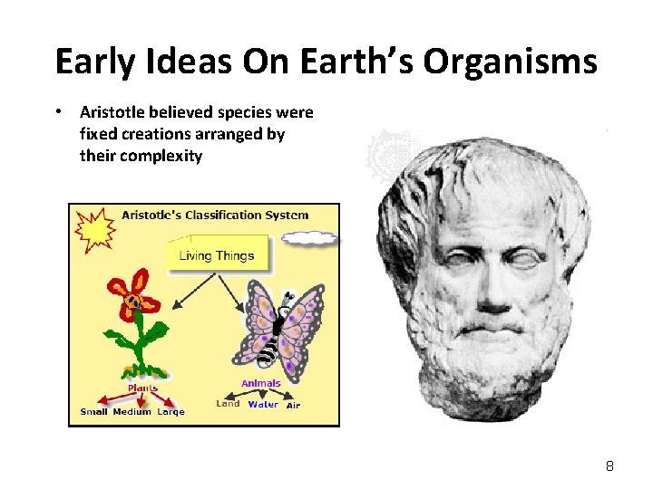 Early Ideas On Earth’s Organisms • Aristotle believed species were fixed creations arranged by