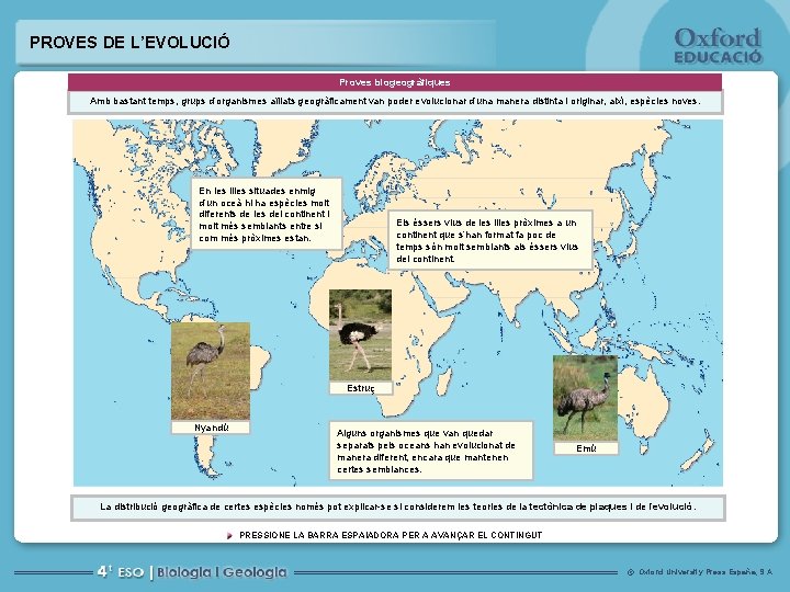 PROVES DE L’EVOLUCIÓ Proves biogeogràfiques Amb bastant temps, grups d’organismes aïllats geogràficament van poder