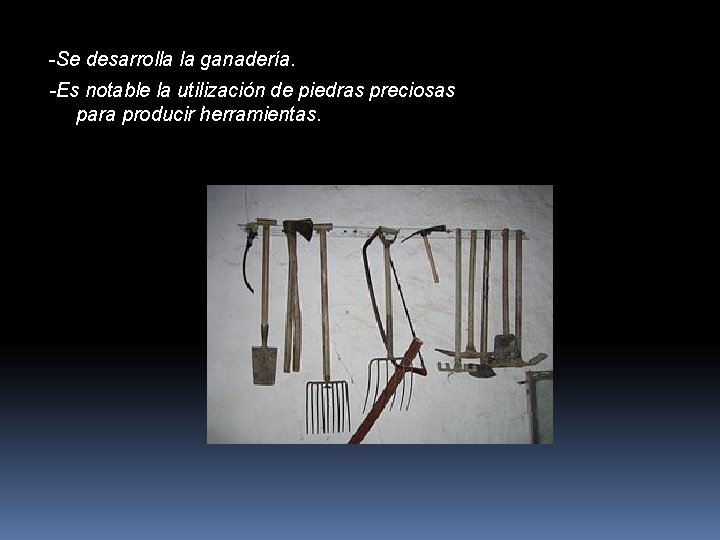 -Se desarrolla la ganadería. -Es notable la utilización de piedras preciosas para producir herramientas.