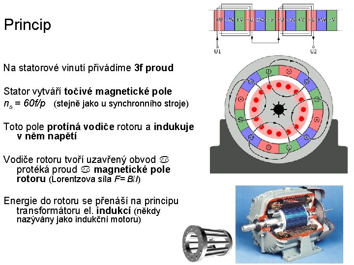 Princip Na statorové vinutí přivádíme 3 f proud Stator vytváří točivé magnetické pole ns