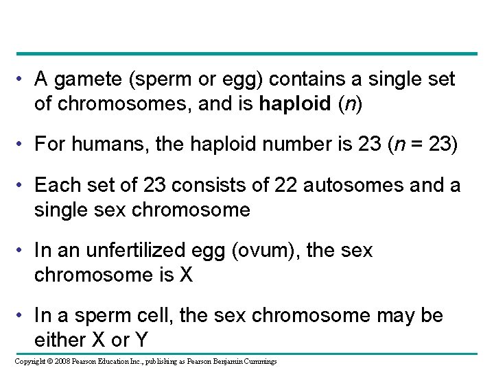  • A gamete (sperm or egg) contains a single set of chromosomes, and