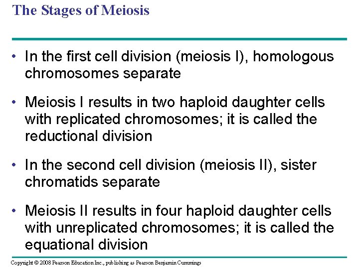 The Stages of Meiosis • In the first cell division (meiosis I), homologous chromosomes