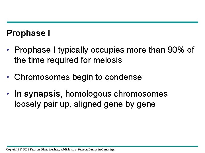 Prophase I • Prophase I typically occupies more than 90% of the time required