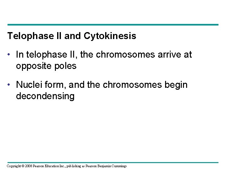 Telophase II and Cytokinesis • In telophase II, the chromosomes arrive at opposite poles