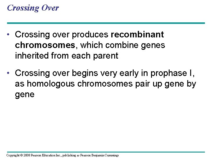 Crossing Over • Crossing over produces recombinant chromosomes, which combine genes inherited from each