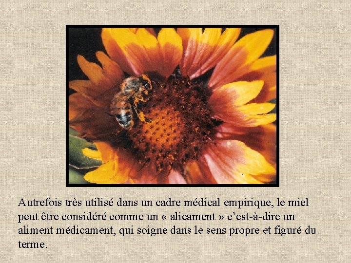 Autrefois très utilisé dans un cadre médical empirique, le miel peut être considéré comme