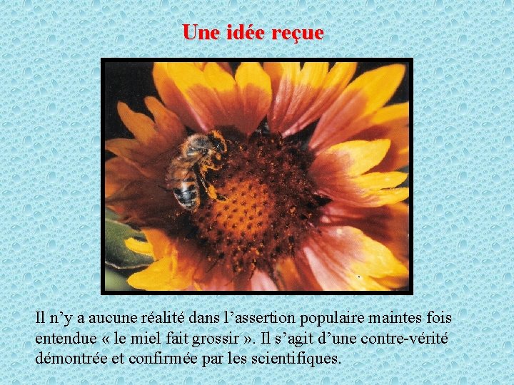 Une idée reçue Il n’y a aucune réalité dans l’assertion populaire maintes fois entendue