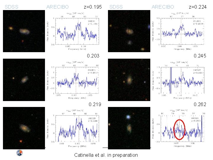 SDSS ARECIBO z=0. 195 SDSS 0. 203 0. 219 Catinella et al. in preparation