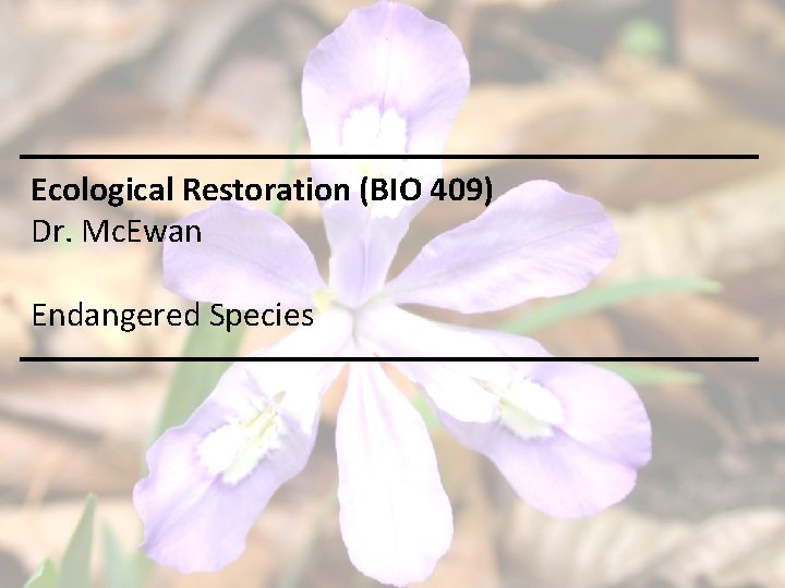 Ecological Restoration (BIO 409) Dr. Mc. Ewan Endangered Species 