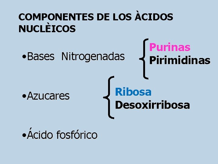 COMPONENTES DE LOS ÀCIDOS NUCLÈICOS • Bases Nitrogenadas • Azucares • Ácido fosfórico Purinas