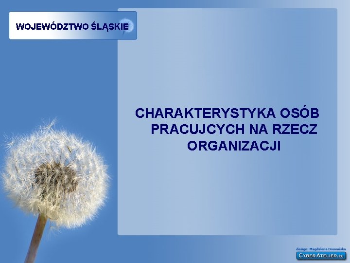 WOJEWÓDZTWO ŚLĄSKIE CHARAKTERYSTYKA OSÓB PRACUJCYCH NA RZECZ ORGANIZACJI 