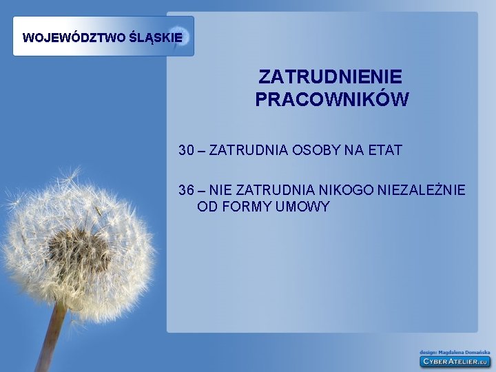 WOJEWÓDZTWO ŚLĄSKIE ZATRUDNIENIE PRACOWNIKÓW 30 – ZATRUDNIA OSOBY NA ETAT 36 – NIE ZATRUDNIA