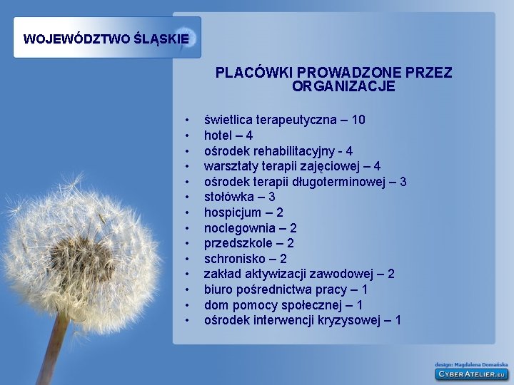 WOJEWÓDZTWO ŚLĄSKIE PLACÓWKI PROWADZONE PRZEZ ORGANIZACJE • • • • świetlica terapeutyczna – 10