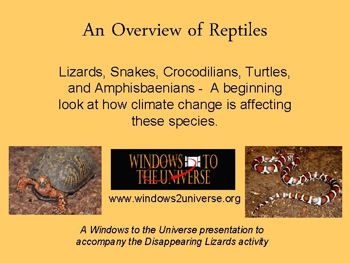 An Overview of Reptiles Lizards, Snakes, Crocodilians, Turtles, and Amphisbaenians - A beginning look