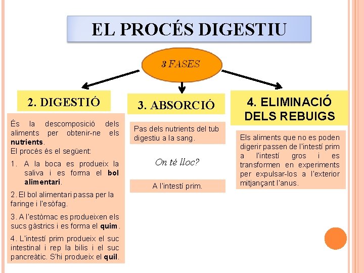 EL PROCÉS DIGESTIU 2. DIGESTIÓ És la descomposició dels aliments per obtenir-ne els nutrients.