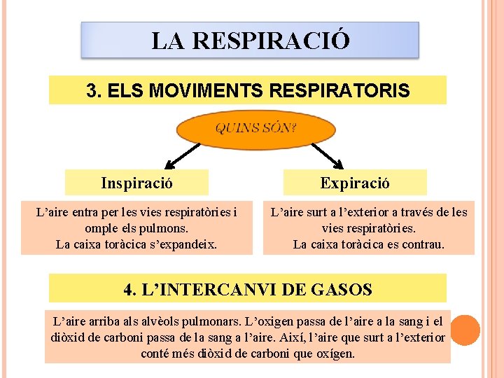 LA RESPIRACIÓ 3. ELS MOVIMENTS RESPIRATORIS Inspiració L’aire entra per les vies respiratòries i