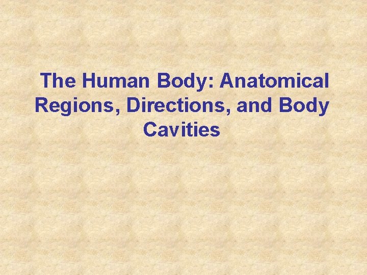 The Human Body: Anatomical Regions, Directions, and Body Cavities 
