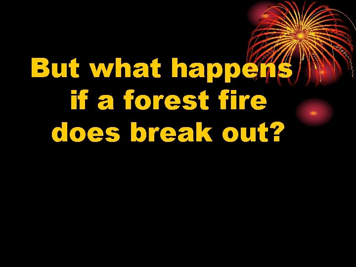But what happens if a forest fire does break out? 