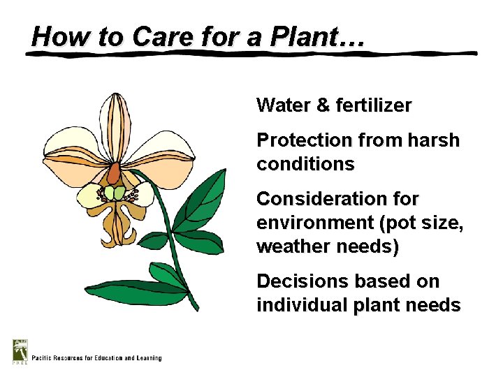 How to Care for a Plant… Water & fertilizer Protection from harsh conditions Consideration