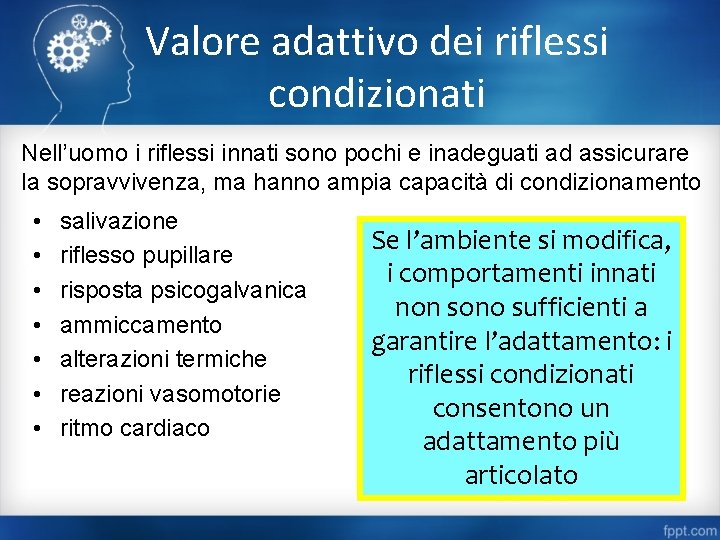 Valore adattivo dei riflessi condizionati Nell’uomo i riflessi innati sono pochi e inadeguati ad